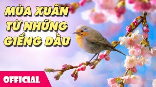 Mùa Xuân Từ Những Giếng Dầu - Hương Giang [Karaoke Lyrics MV]