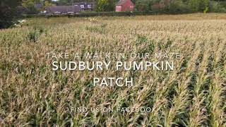 Drone pumpkin video 2