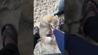 When Touch The Belly Her Leg Working