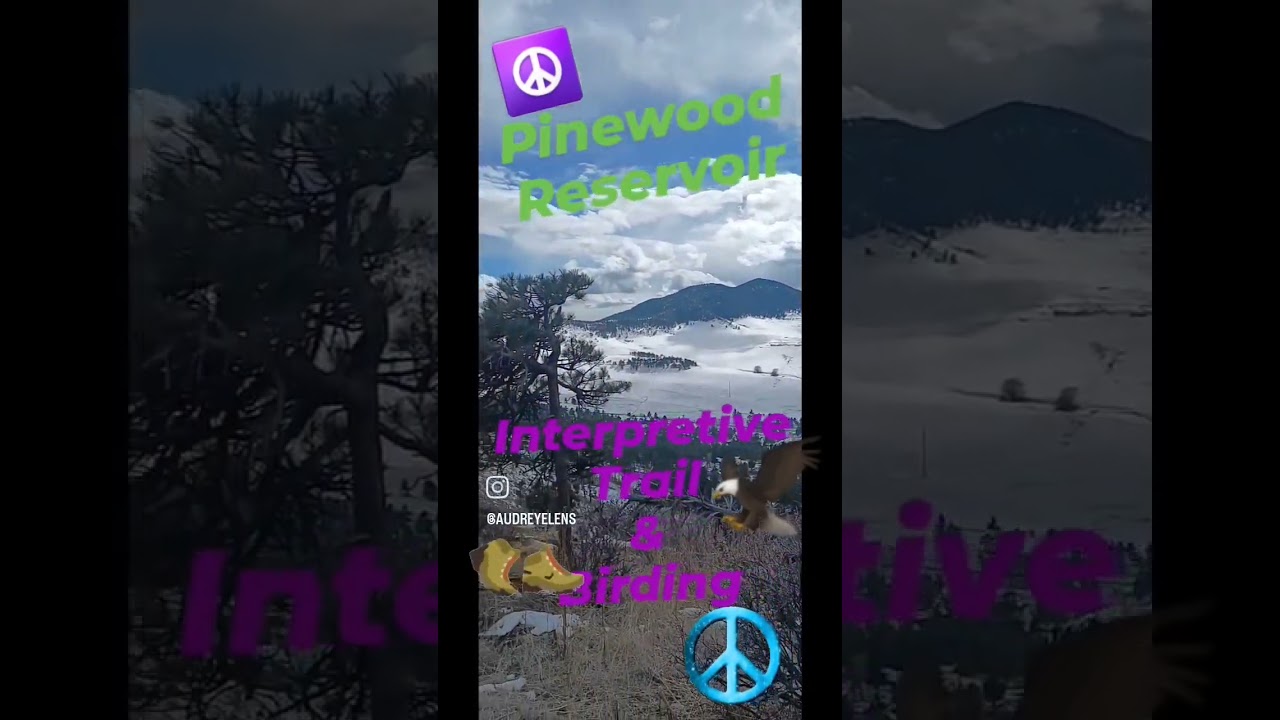 Walk the Interpretive Trail at Pinewood Reservoir 