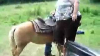 Fat Lady Cant Get On The Horse Rofl Tube