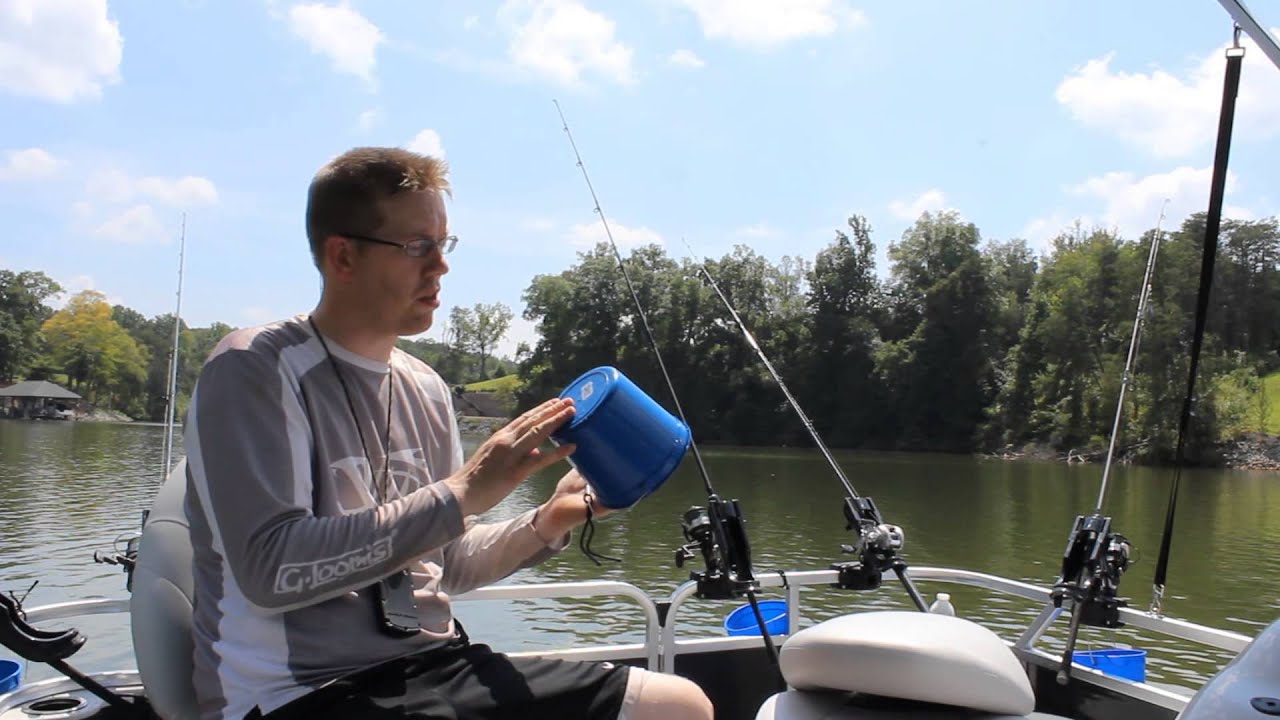 How to keep live bait alive while moving spots