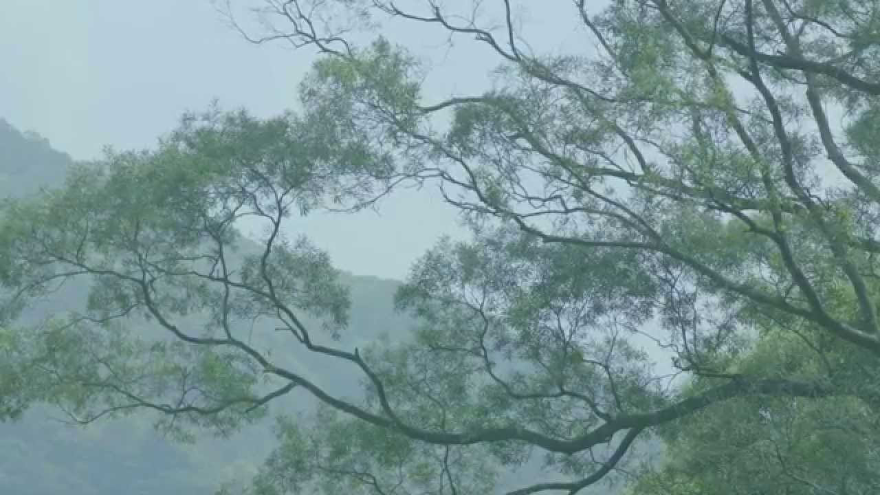 雨僑 Ava Liu - 大奇蹟日 Official MV - 官方完整版