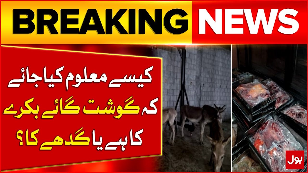 Difference Between Beef, Goat And Donkey Meat  | Important Information | Breaking News