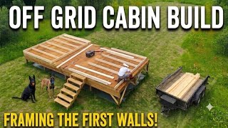 OFF GRID CABIN BUILD | Framing Our First Walls! {EP23}