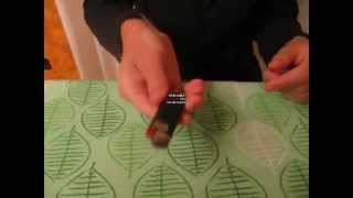 AMAZING Bic LIGHTER MAGIC TRICK and VANISH [Peppino Channel]