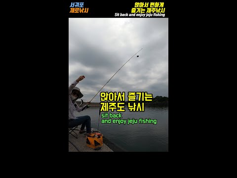 앉아서 즐기는 제주도 낚시(<strong>sit</strong> back and enjoy jeju fishing)#Shorts
