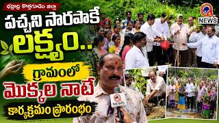 సారపాకలో పచ్చదనం కోసం శ్రీకారం.. మొక్కలు నాటిన సర్పంచ్, పాలకవర్గ సభ్యులు| Qnews