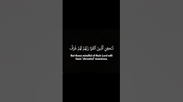 القرآن الكريم- سورة الزمر- آية ١٩ إلى آية ٢١ #quran #yasser_al_dosari #قرآن #قران_كريم #ياسر_الدوسري