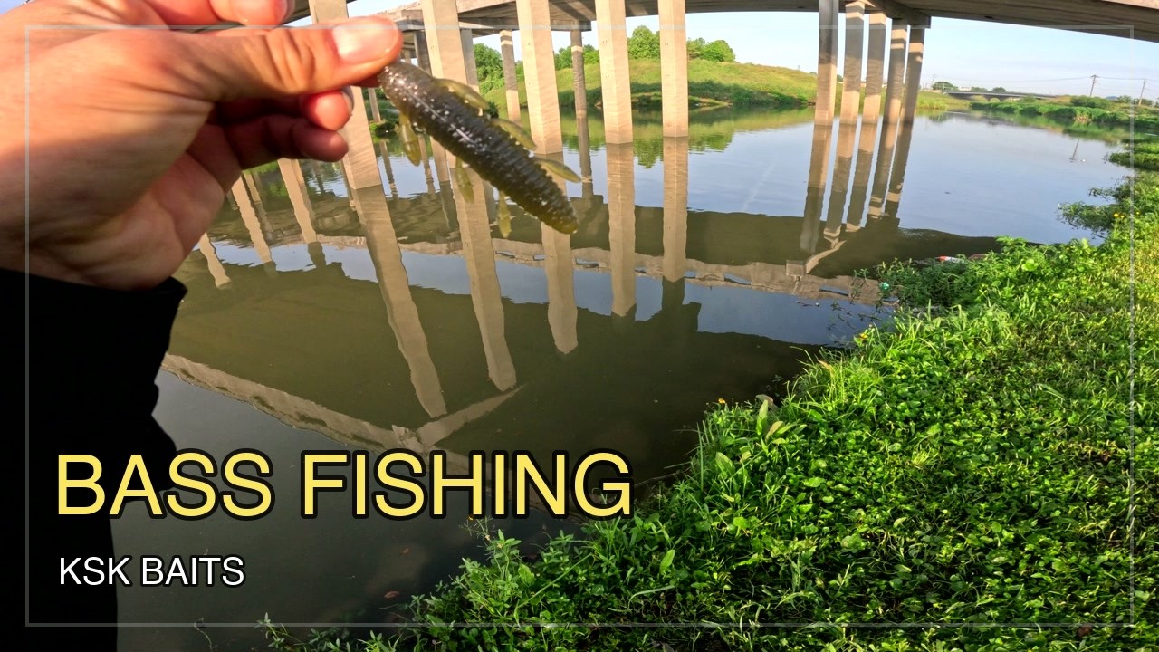 Quiet Bass Fishing in an American Bayou | Natural Sounds | KSK BAITS
