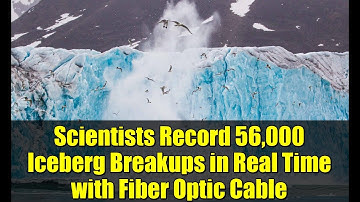 Scientists Record 56,000 Iceberg Breakups in Real Time with Fiber Optic Cable