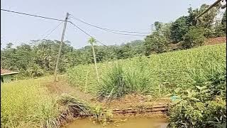 Suasana kampung ci binong