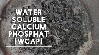 Cara Membuat Pupuk Kalsium Phospat Cuma dengan 2 Bahan (WCaP-KNF) - Kebun Organik Ciparay #28