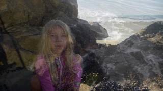 The Wonderful World Of Plankton Final Final Cut