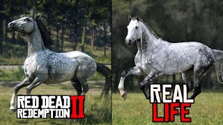 BEAUTIFUL RED DEAD REDEMPTION HORSES IN REAL LIFE! | Pinehaven