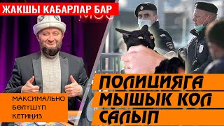 ШУМДУК 😨Полицяга мышык кол салып⚡ МАЙда кар жаап⚡ ЭМНЕ ЭЛЕ БОЛТАТ❓