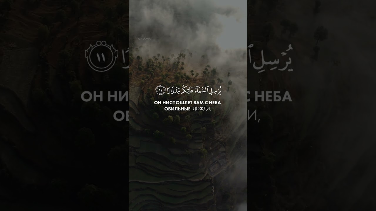 Сура "Нух" аяты 10-12 чтец Шейх Ясир ад-Даусари