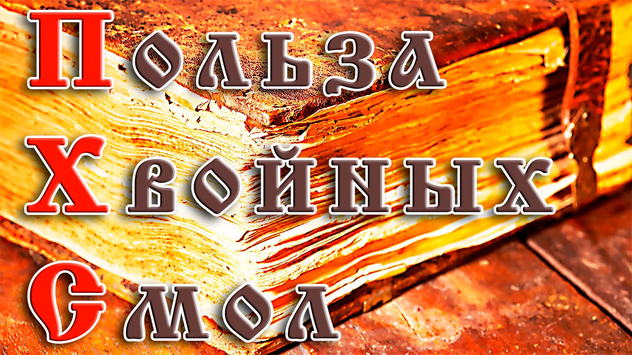 Польза хвойных смол
