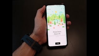 Zen Mode: The Ultimate Way to Unplug from Your Digital Life! screenshot 5