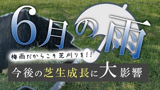 【超重要】芝刈りの本当の目的をお伝えします