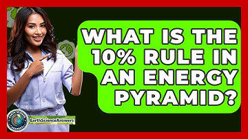 What Is The 10% Rule In An Energy Pyramid? - Earth Science Answers