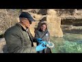 African Penguin Chicks and Conservation - Cincinnati Zoo