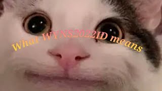 What WYNS2022ID means