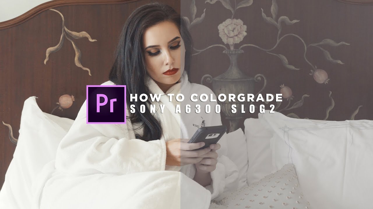 How to COLOR GRADE in Adobe Premiere Pro CC + FREE LUTS ...