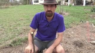 cocktail video