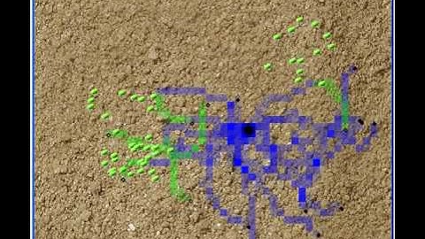 Simulated ant colony 2