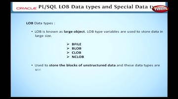 Learn Oracle | Data Types in PL SQL