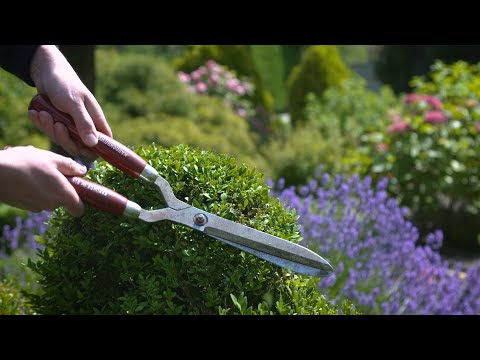 Video: Čistenie záhradného náradia – Ako čistiť záhradné náradie