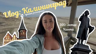 Vlog: Калининград | Зеленоградск | Светлогорск | Лучшие рестораны | Что посмотреть за 4 дня?