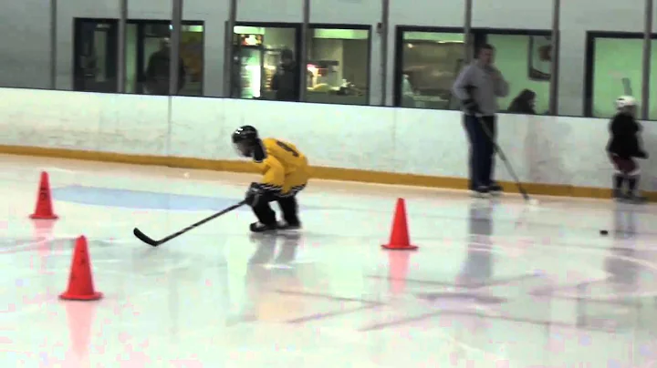 Victor  Teleguine Professional Hockey Skill Develo...