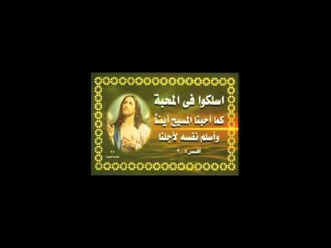 ايها الثالوث القدوس ايبدياكون افرايم فخرى المنصوره 