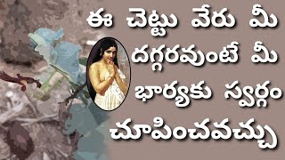 Gadida Gadapaku Health Tips In Telugu Gadida Gadapaku Facts Gadida Gadapa Ayurvedic Medicine