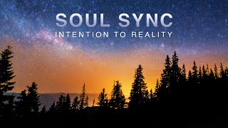Sri Preethaji Sri Krishnajis - The Great Soul Sync Meditation Pkconsciousness