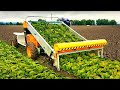 Satisfying Agricultural Machines That Are At Another Level