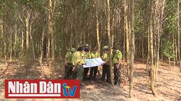 Bình Định tăng cường công tác phòng, chống cháy rừng