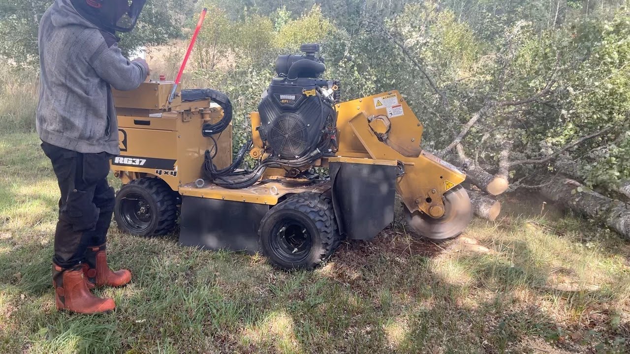 Köp Stubbfräs Rayco RG37 4x4 på Klaravik - YouTube