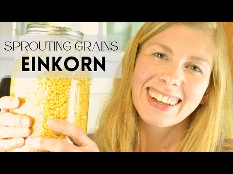 How to Sprout