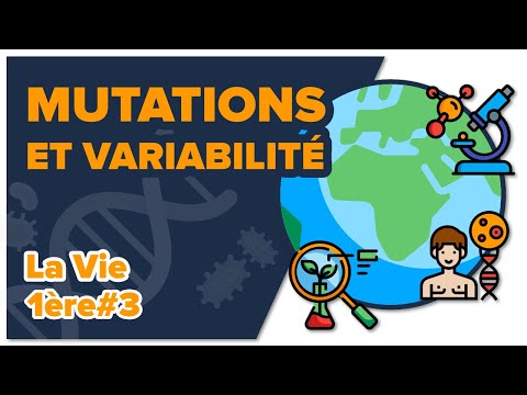 Vidéo: Qu'est-ce que la mutation par duplication ?