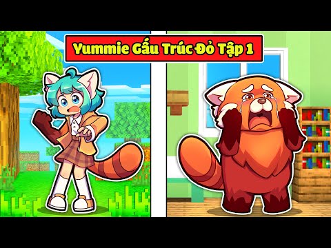 NẾU YUMMIE BỊ DÍNH LỜI NGUYỀN GẤU TRÚC ĐỎ TRONG MINECRAFT * YUMMIE GẤU TRÚC ĐỎ TẬP 1😭😨💫