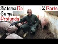 SISTEMA CAMA PROFUNDA 🐷🐷 PARTE 2 --CAPITULO 8.2 -- ENGORDE DE CERDOS