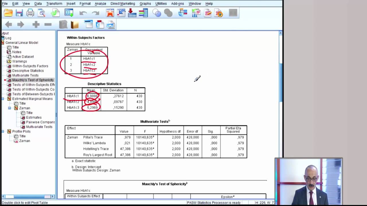 SPSS ile Tekrarlayan Ölçümlerde ANOVA