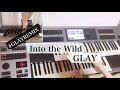 【弾いてみた】Into the Wild/GLAY #GLAYREMIX