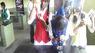ips 1030815