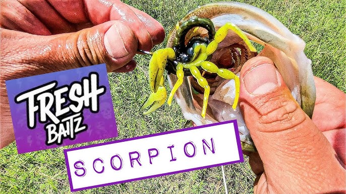 Can a SCORPION BAIT catch BASS? Fresh Baitz Scorpion Soft Plastic Bait 