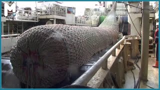 Amazing Big Catch Thousands Tons Fish With Modern Big Boat - Giant Net Fishing on the Sea