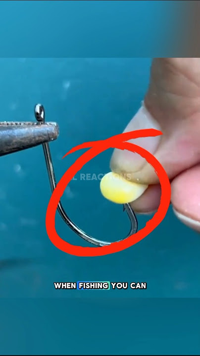 Genius Corn Bait Trick to Catch More Fish! #shorts #trending #viral